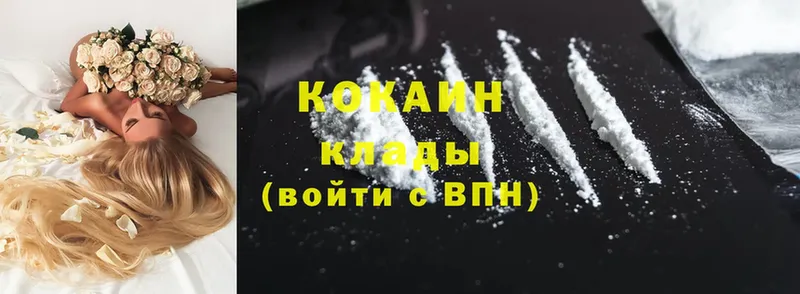 ОМГ ОМГ маркетплейс  закладка  Звенигово  Cocaine Fish Scale 